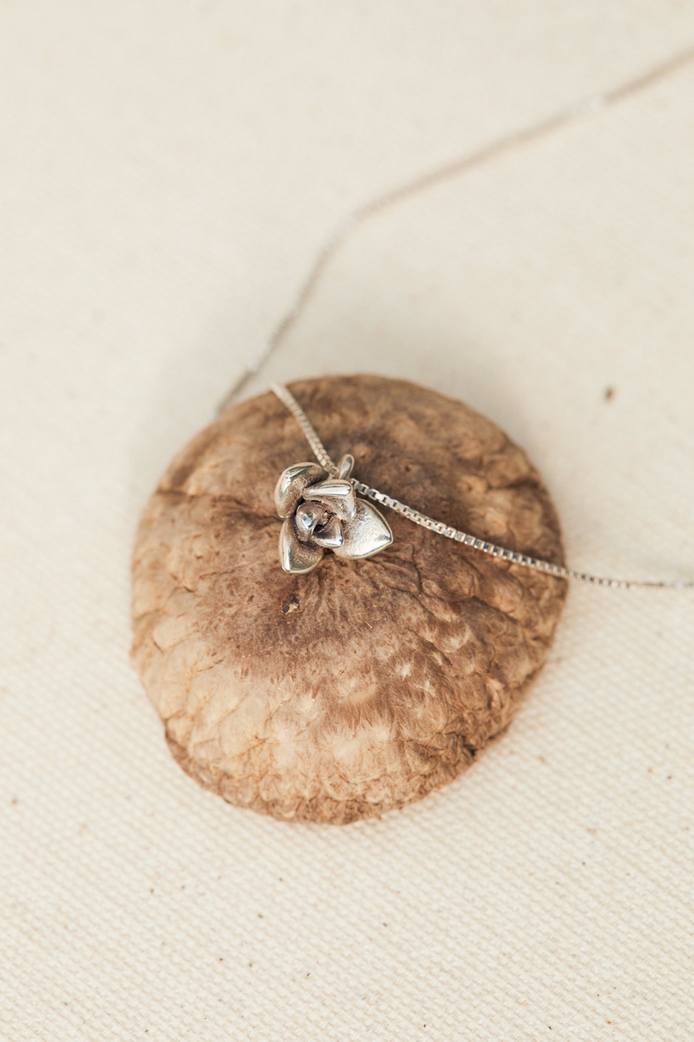 A Succulenta Necklace