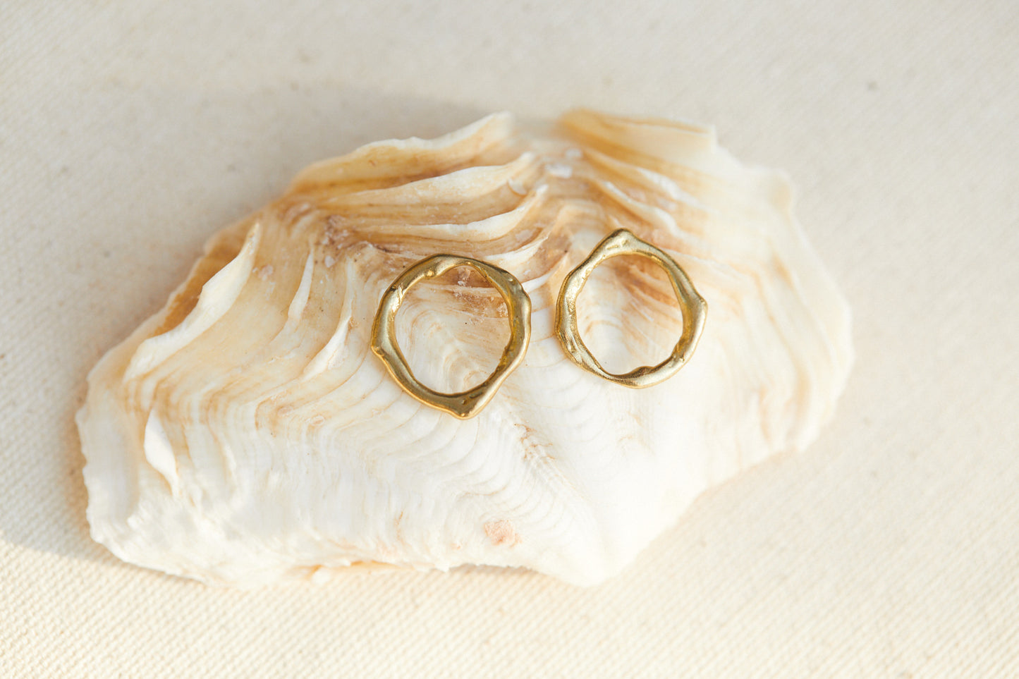 Full Circle Earrings