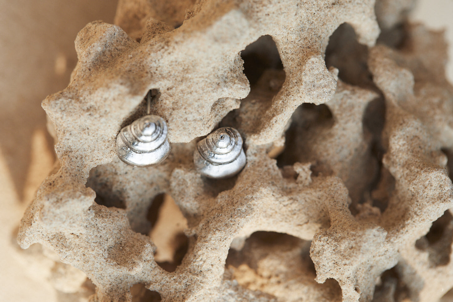 Shell Earrings